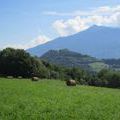Immobilier sur Tours-en-Savoie : Terrain de 0 pieces