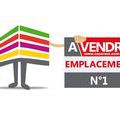 Immobilier sur Lyon 5e Arrondissement : Local professionnel de 0 pieces
