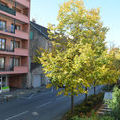 vente appartement Thonon-les-Bains : Photo 7