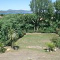 vente maison-villa Saint-Tropez : Photo 7