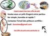 OFFRE DE PR&Ecirc;T ENTRE PARTICULIER sur Internet Avis et recommendation Avez-vous besoin d'un pr&ecirc;t s&eacute;rieux et rapide ? contactez :( bonsitee@gmail.com ) J'offre des pr&ecirc;ts d'argent s&eacute;rieux et rapides de 1000� a 9000 000� -Bonjour a tous_